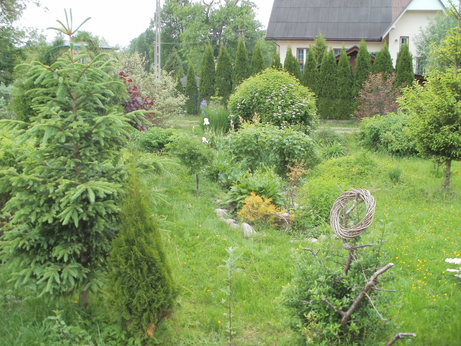 Ogród w Mirachowie_31