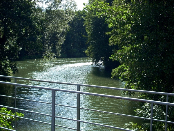 rzeka w Chmielonku