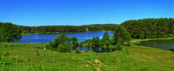 Jeziora w Niesiołowicach