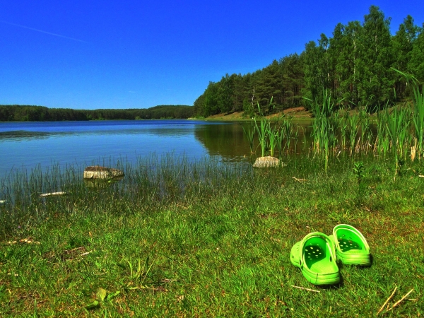 Jezioro Czarne, okolice Niesiołowic
