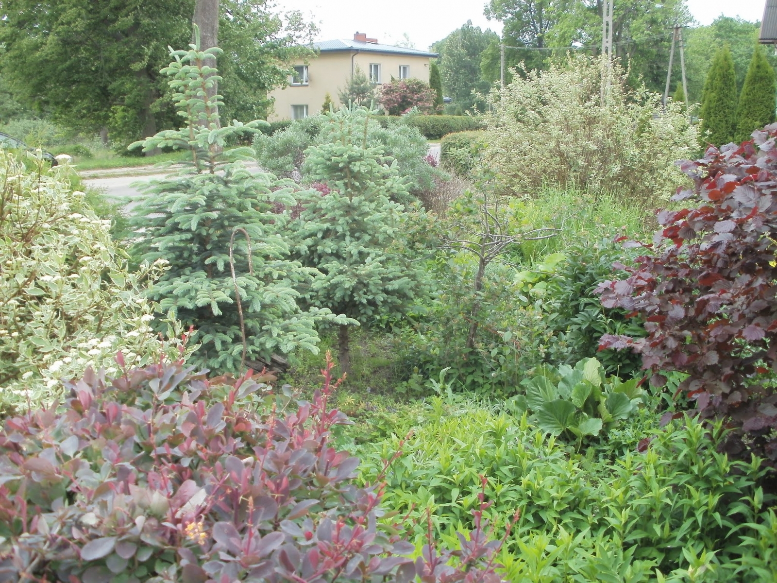 Ogród w Mirachowie_29